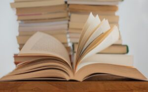 IBI e Ayllon Editora lançam Coleção Índigo