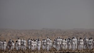 IBINews 204: Ser sustentável, um mandamento judaico