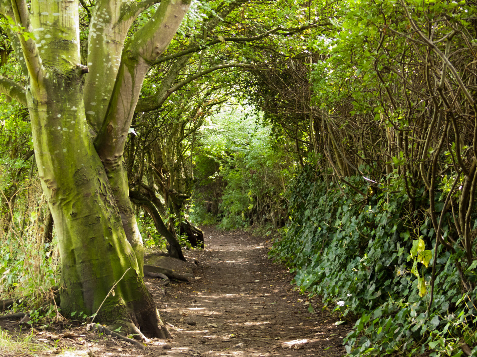 Um lugar bucólico para destilar ódio