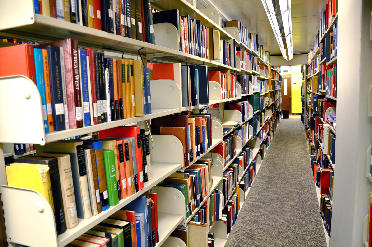 III SIMPÓSIO IBI NO CAMPUS: PROGRAMAÇÃO COMPLETA E INSCRIÇÕES PARA OUVINTES